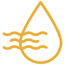 icon 11
