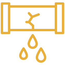 icon 13